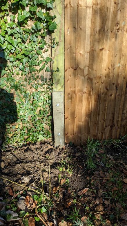 fencing spur in bearsted