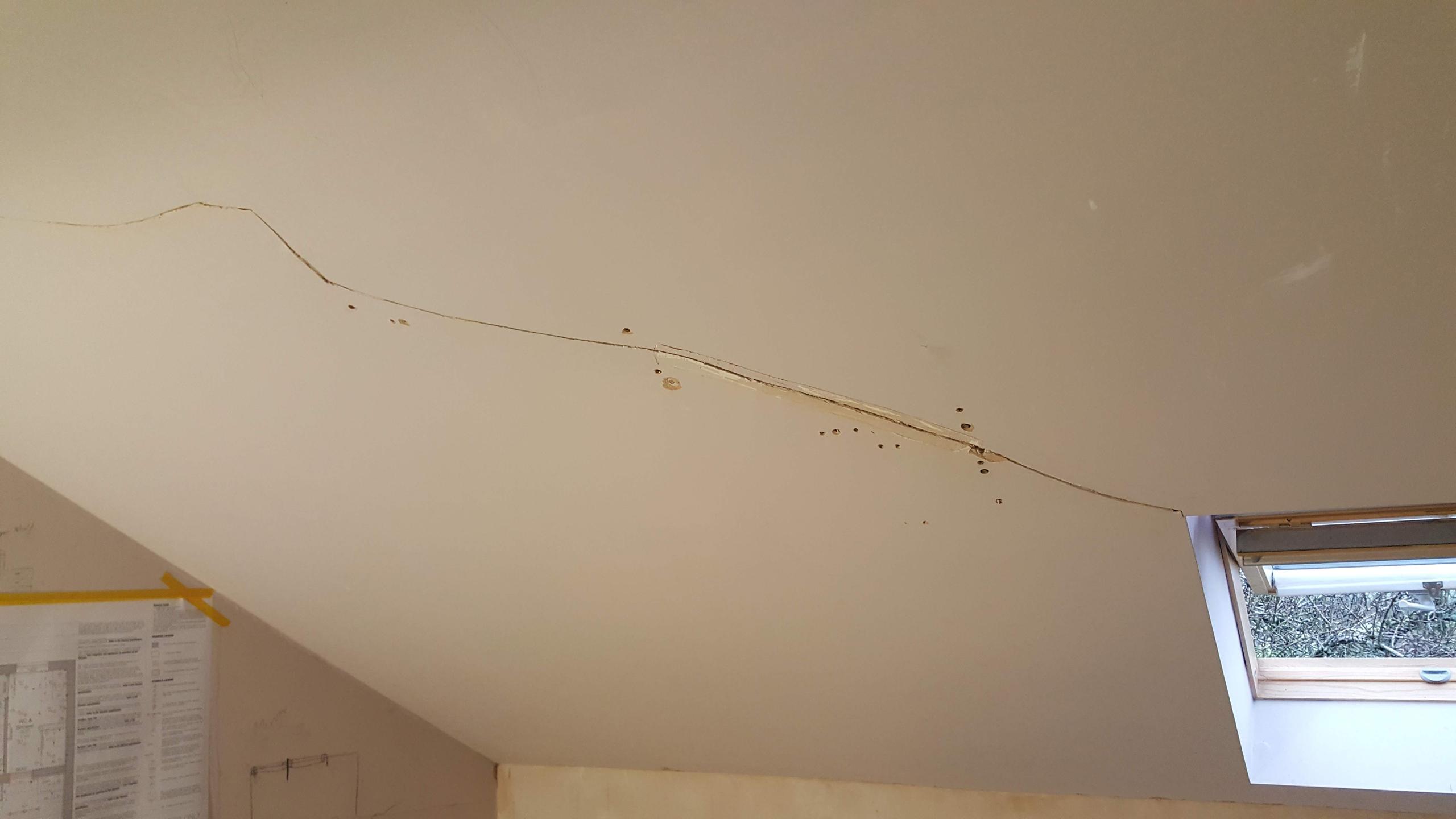 A roofer had managed to damage the ceiling