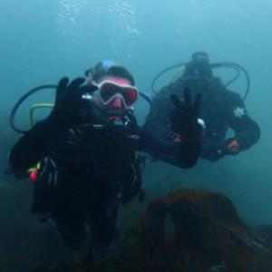 Padi Open Water divers qualification