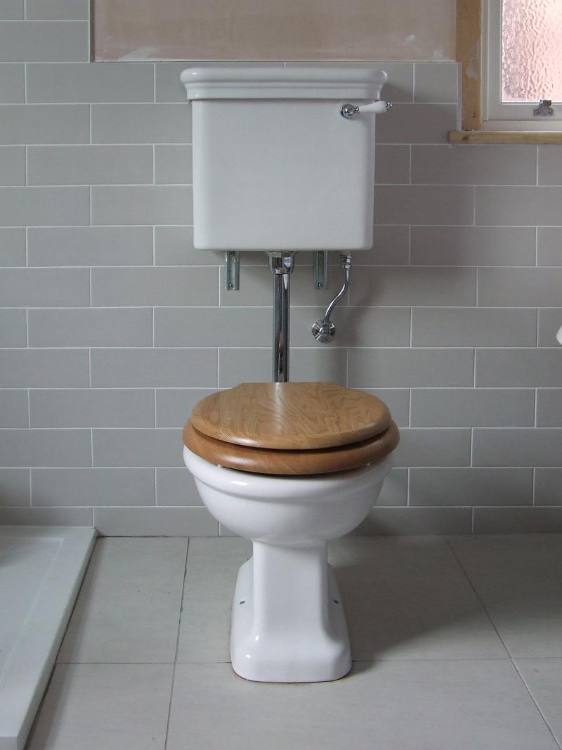 Tradiotional toilet in grey bathroom