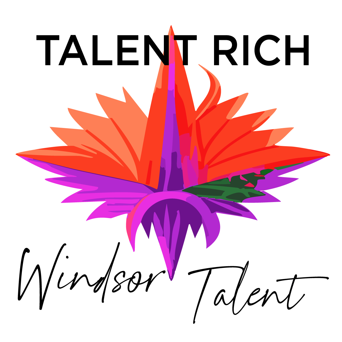 Windsor Talent Logo