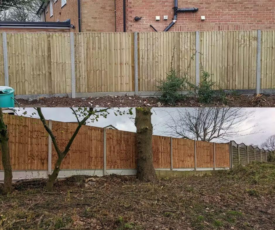 Green vs. Brown Timber Fencing: What You Need to Know