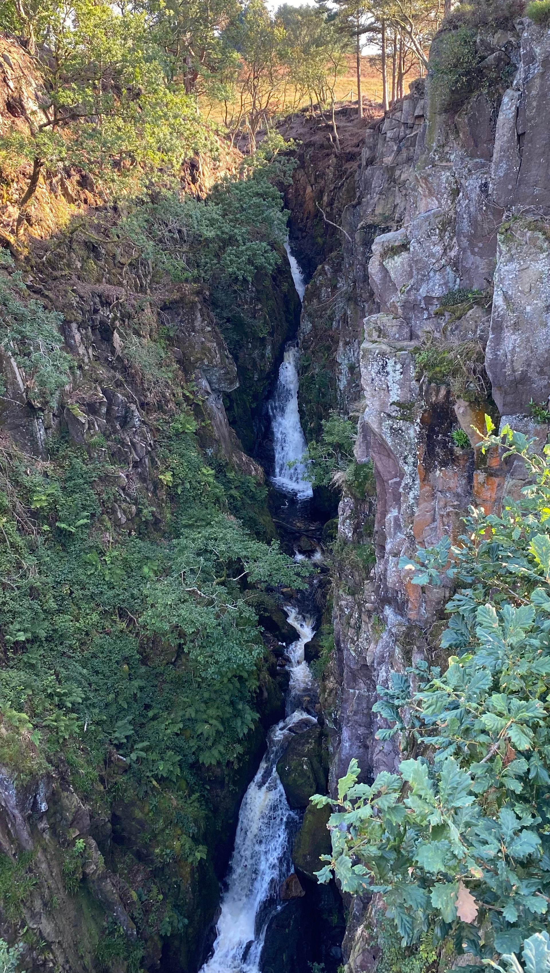 Taylor Ghyll Force 2jpeg