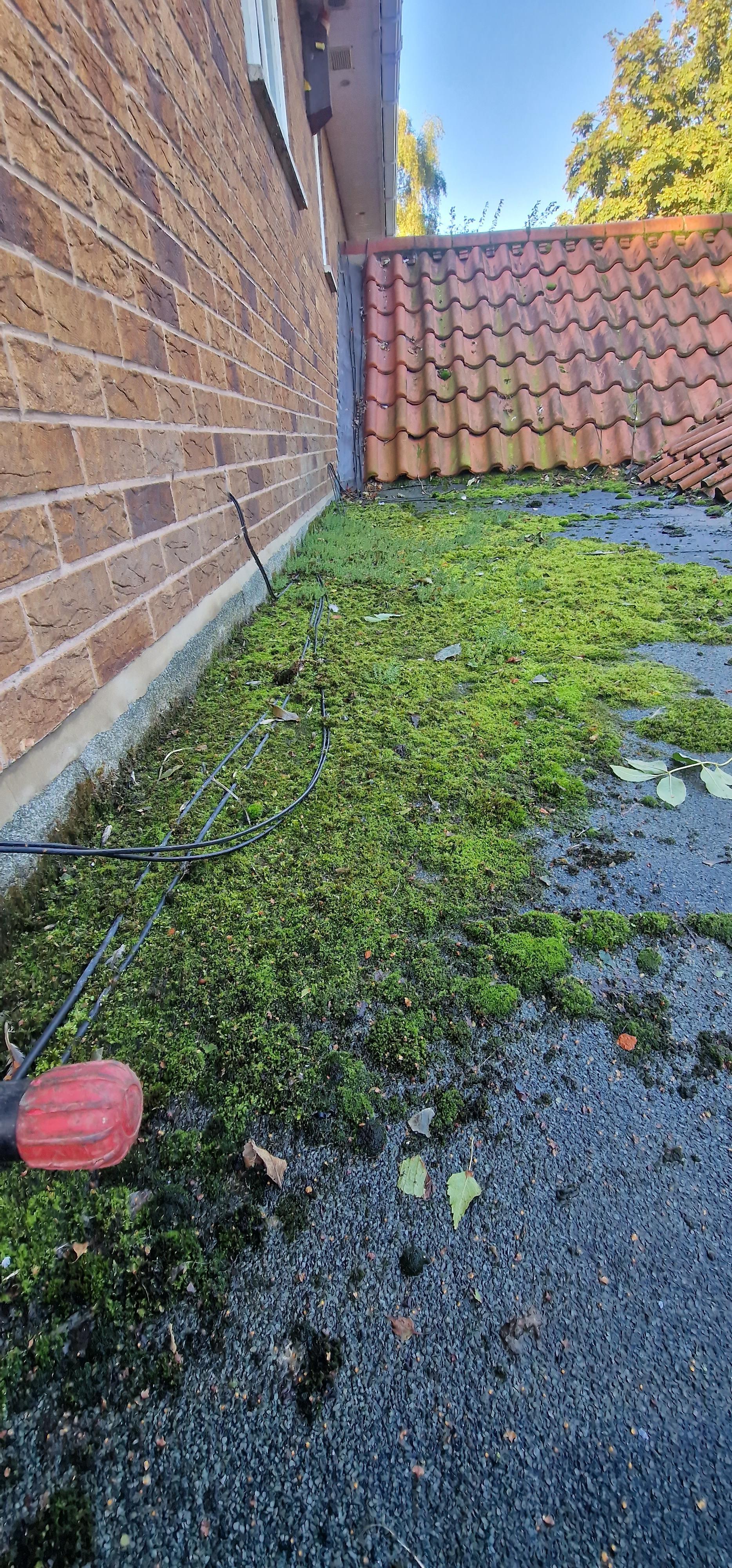 Moss Removal Scunthorpe