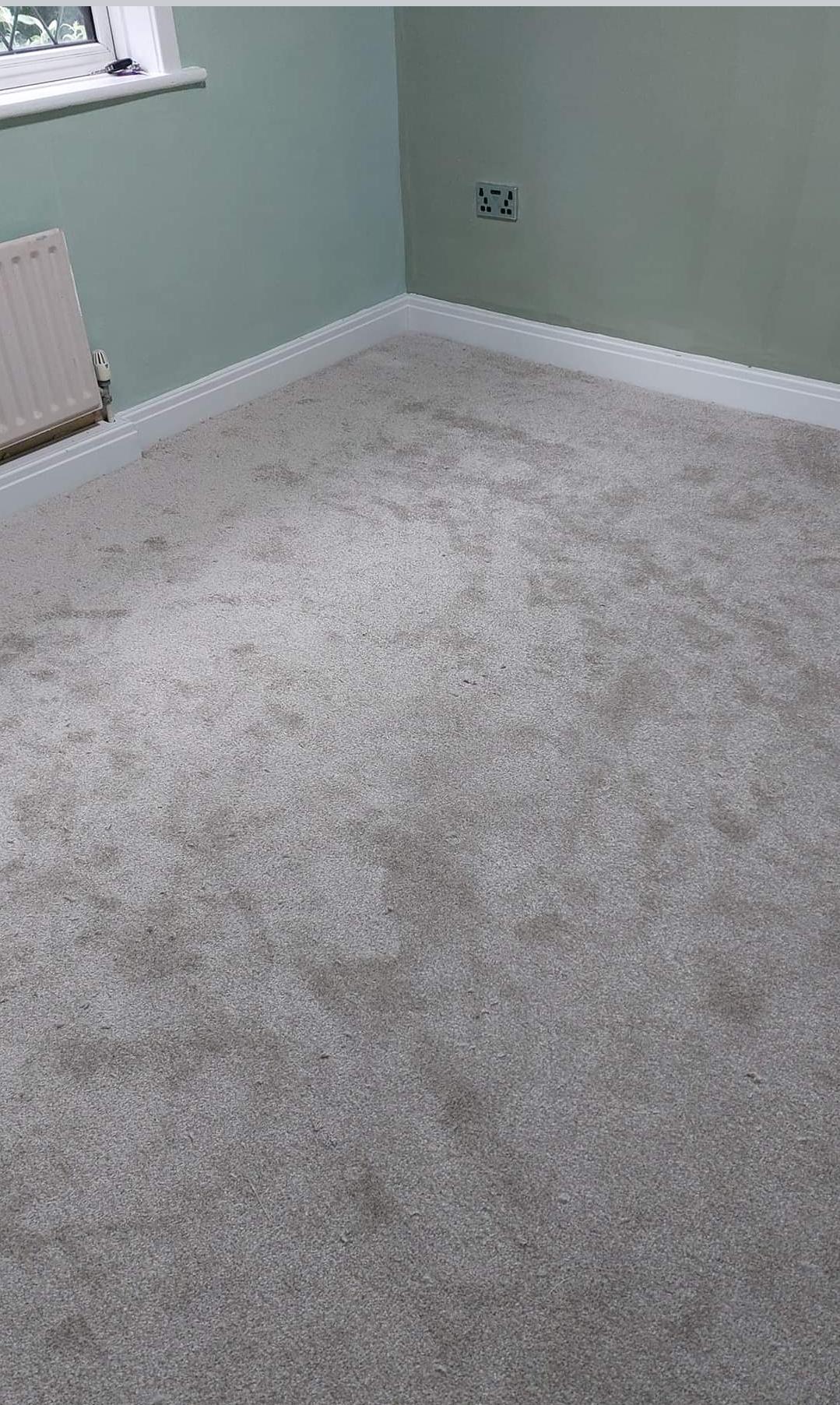 Carpet supplied and fitted in Hutton, Preston by Bridge Flooring 01772 437800.  Stain Resistant