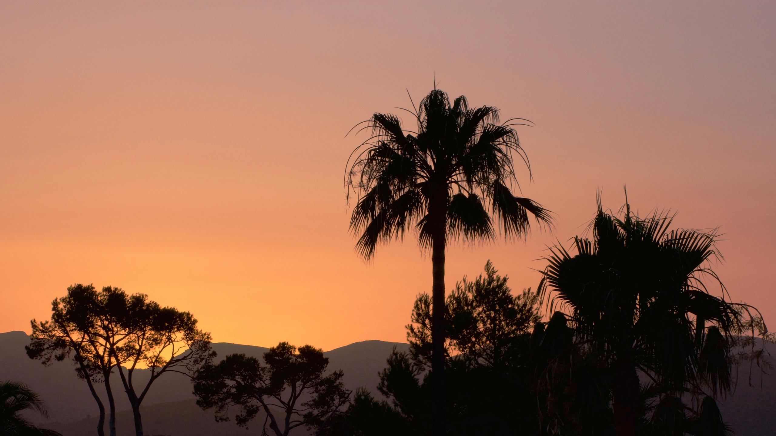 Sunset scene in Mallorca