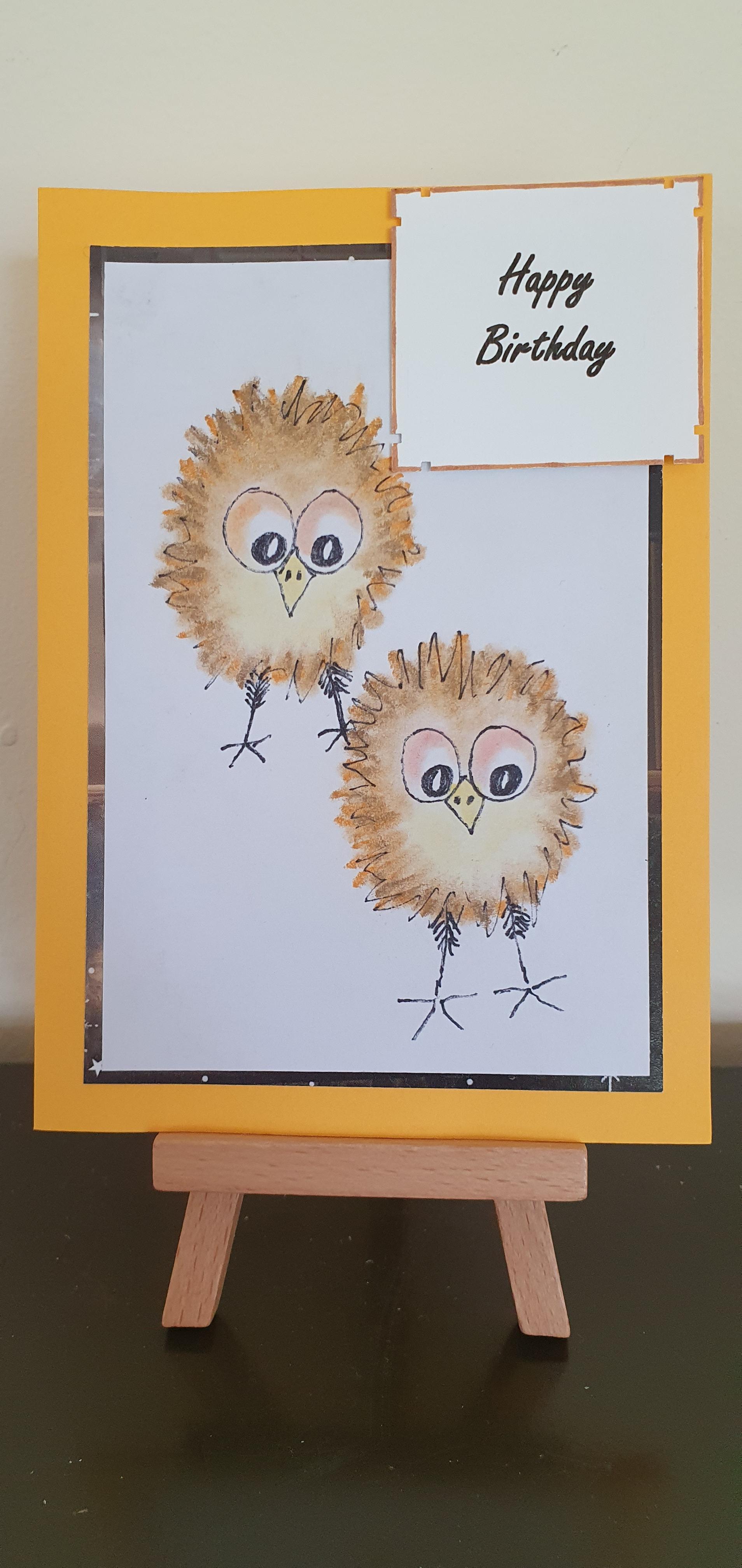 Doodle Bird Birthday Cards