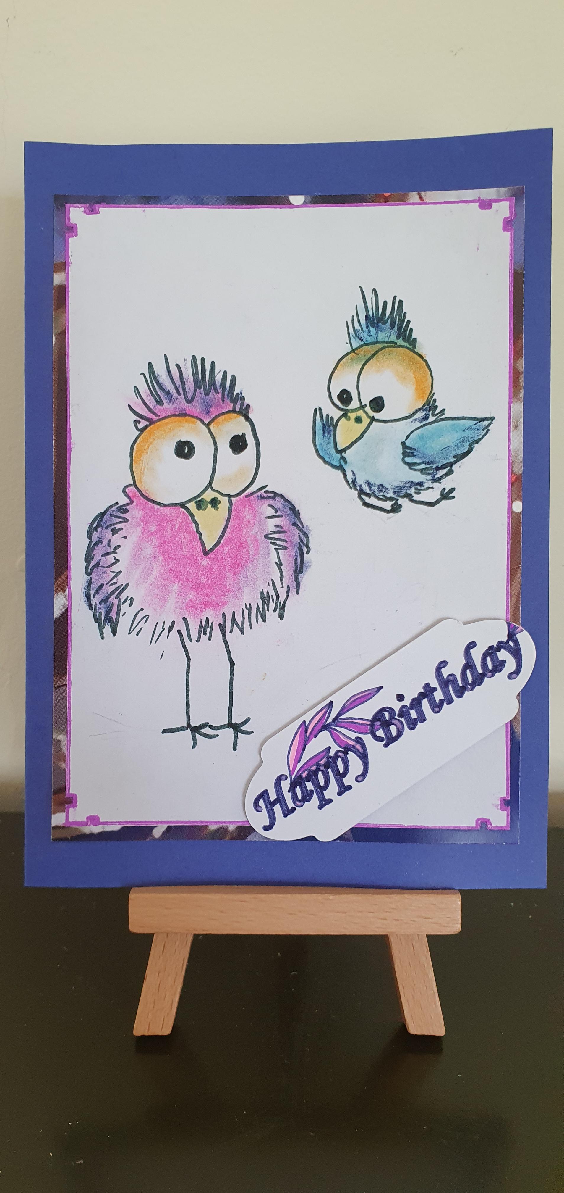 Crazy Bird Birthday Card 4 pack