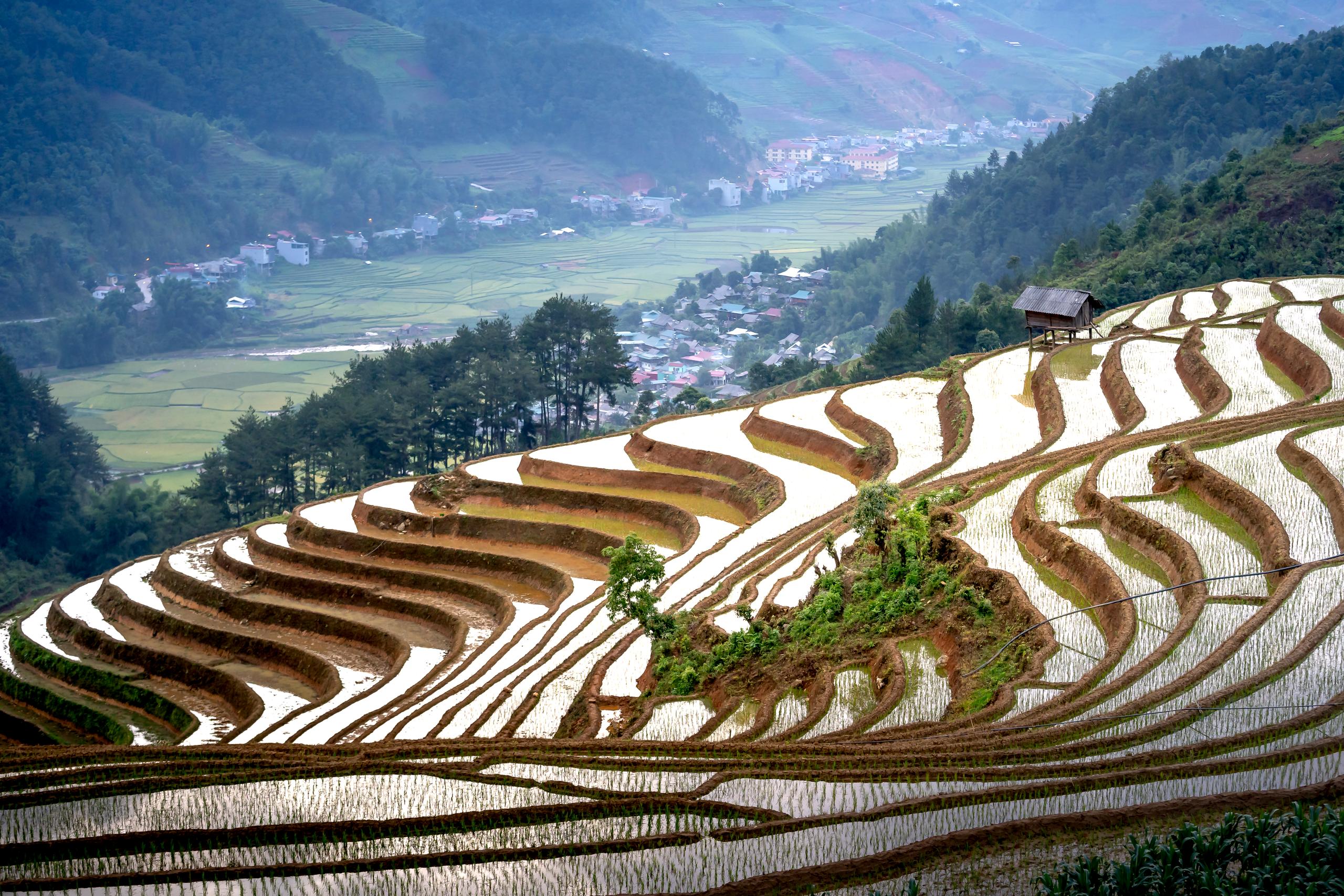 Ha Giang Aventure Awaits: THiET's Unforgettable Tour