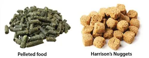Harrison's nuggets next to bird food produced by pelletisation, showing the difference in appearance and texture