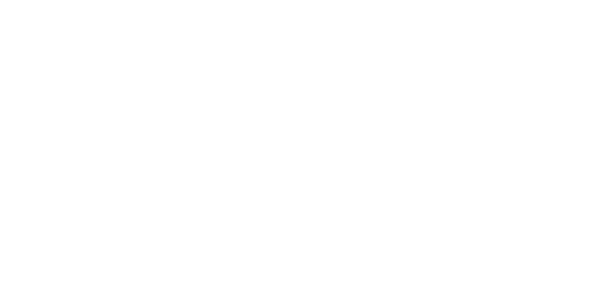 NSS Security Solutions 