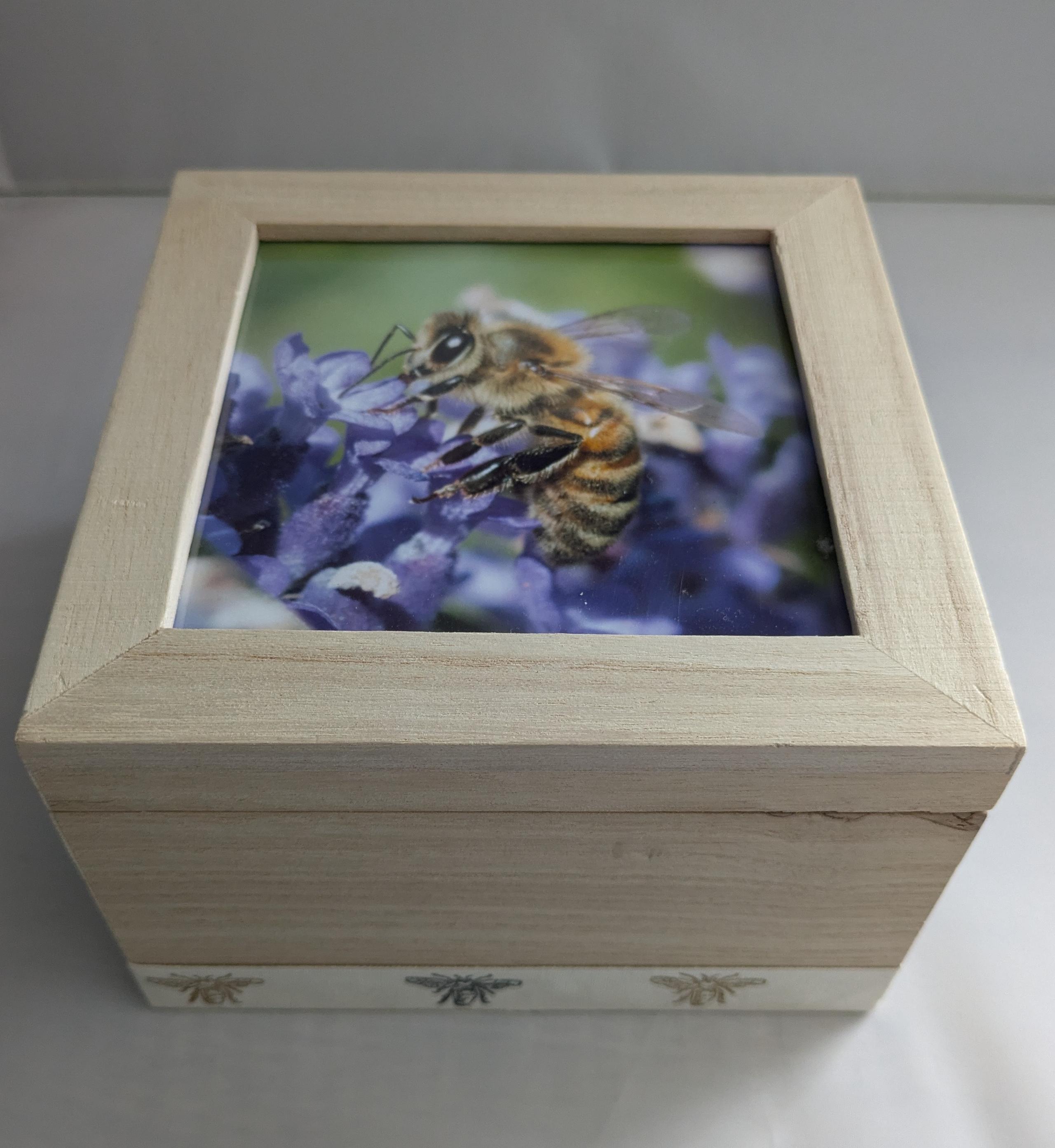 Bee photo box