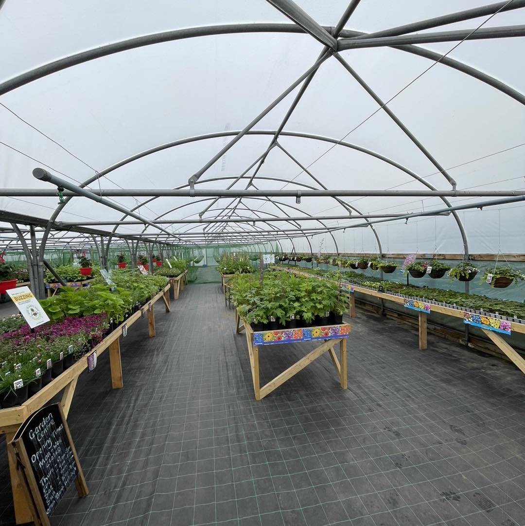 Needhams Nurseries Tickhill