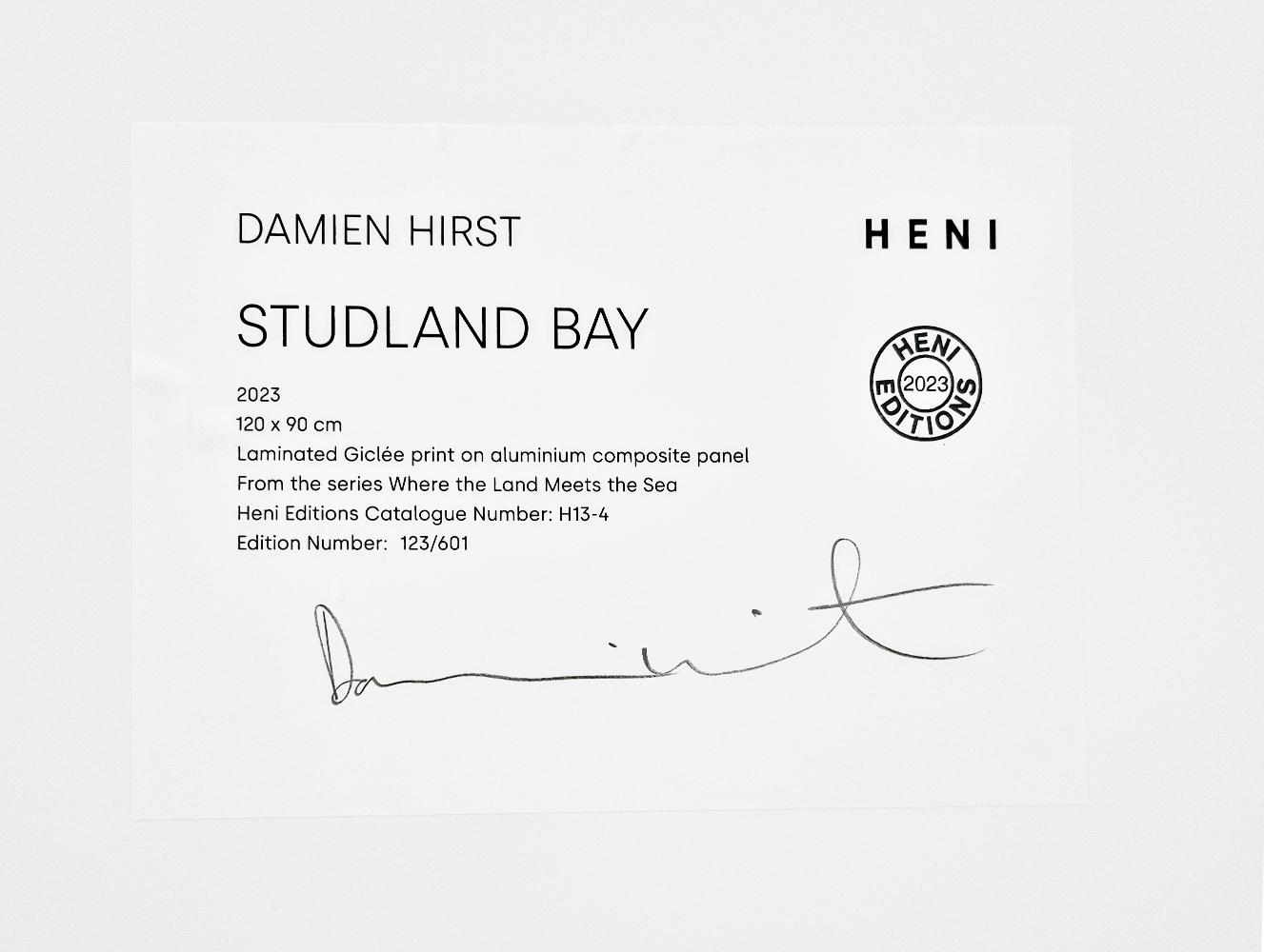 Damien Hirst - Studland Bay (H13-4)