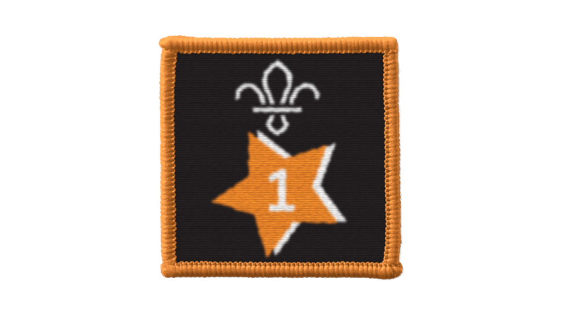 Scout Joining In 1-Year Award