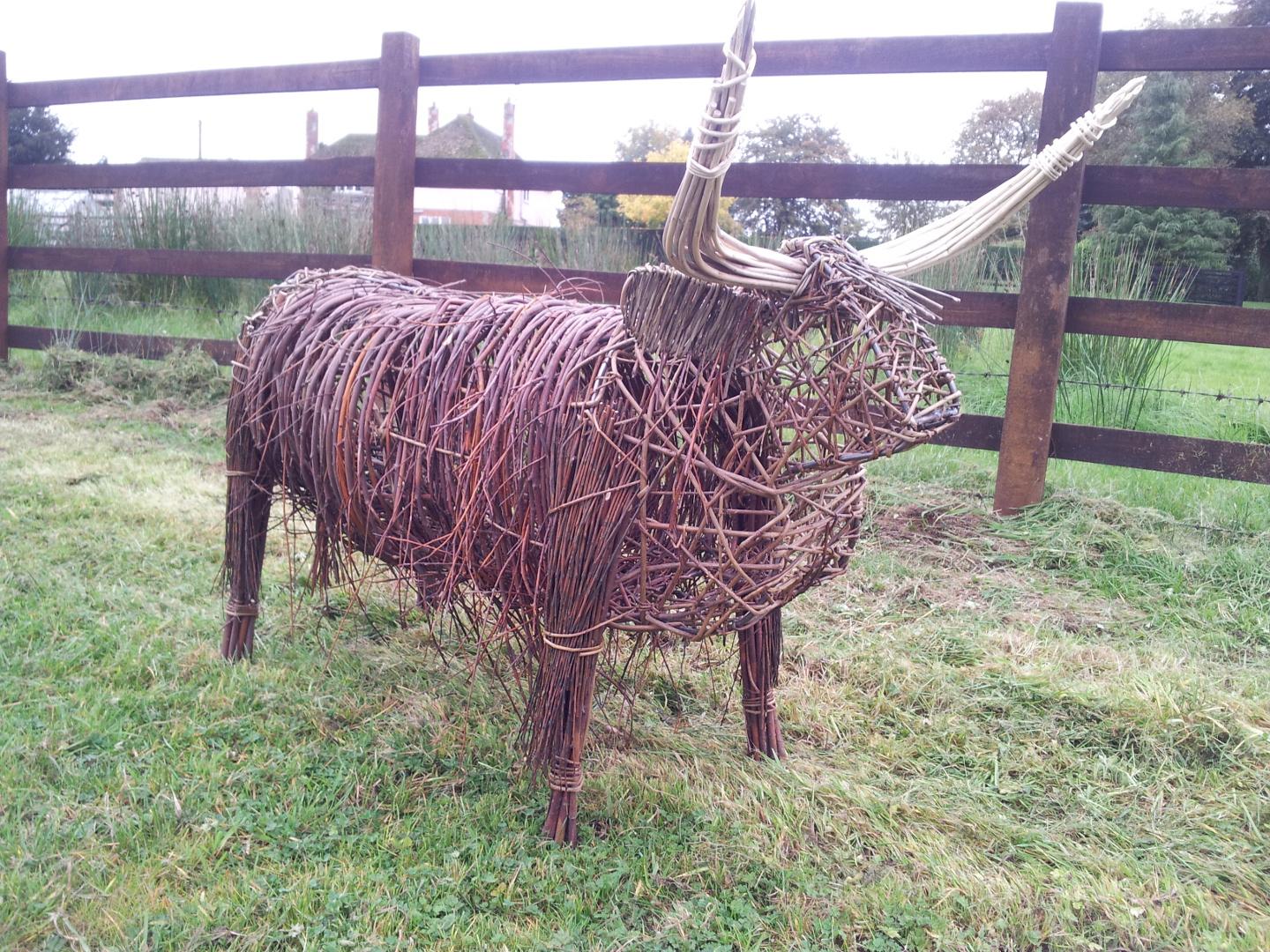 Willow Highland Cow