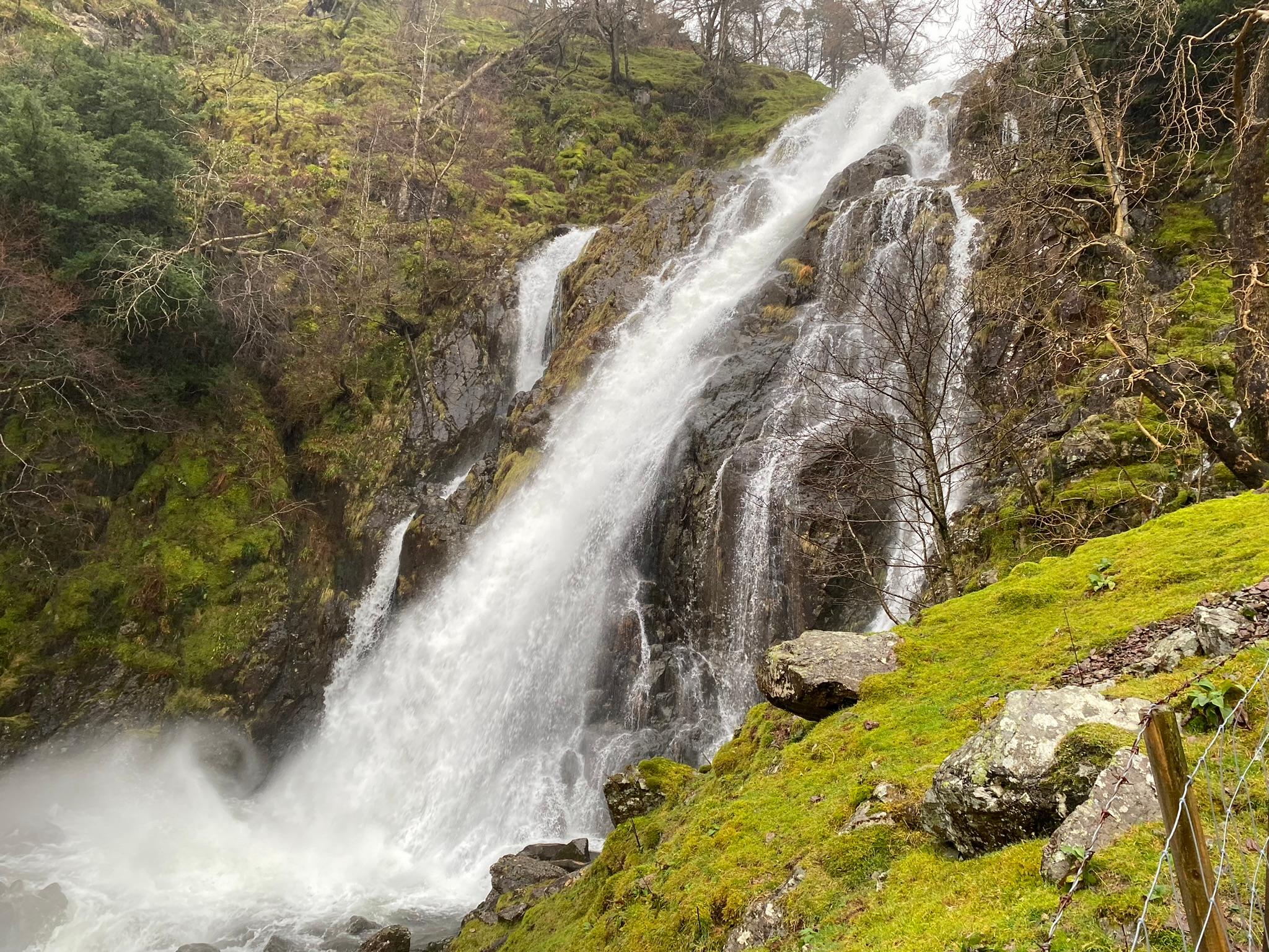 Taylorgill Force 221123jpeg