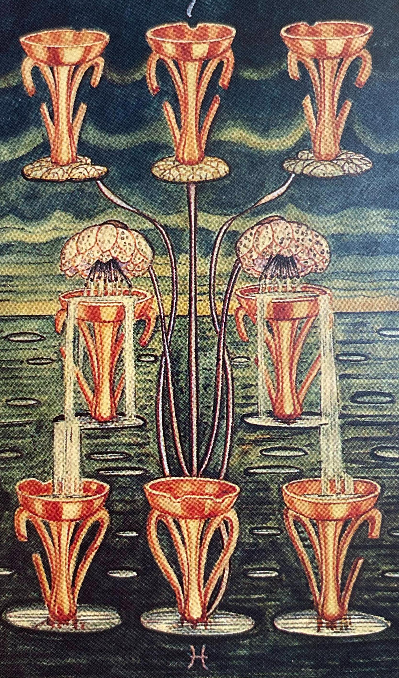 Eight of Cups