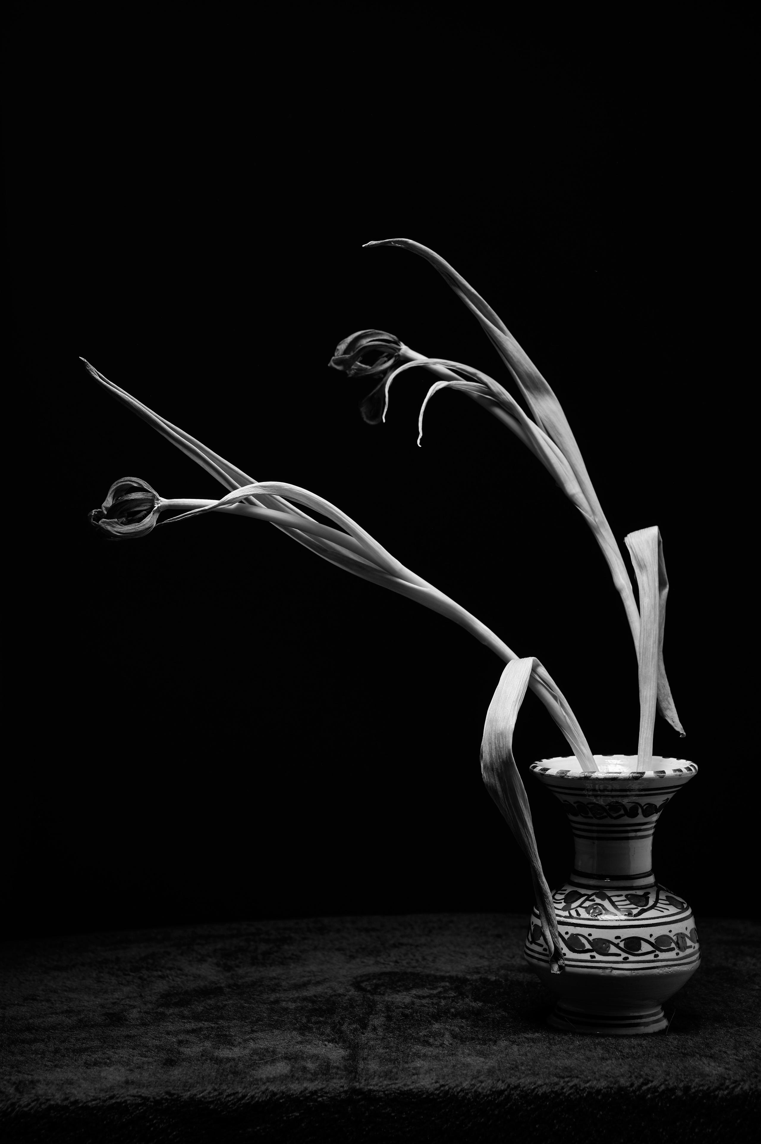 Photo Art No.6 Roses in Vase. 16x10.5 inch.