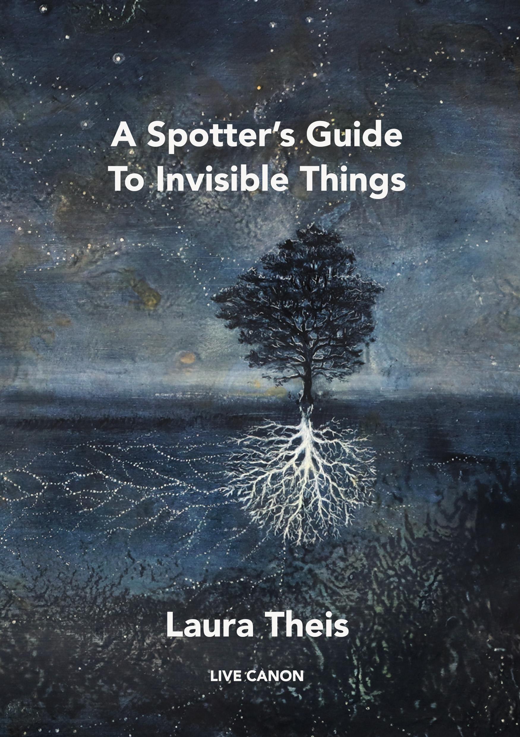 A Spotter's Guide To Invisible Things by Laura Theis