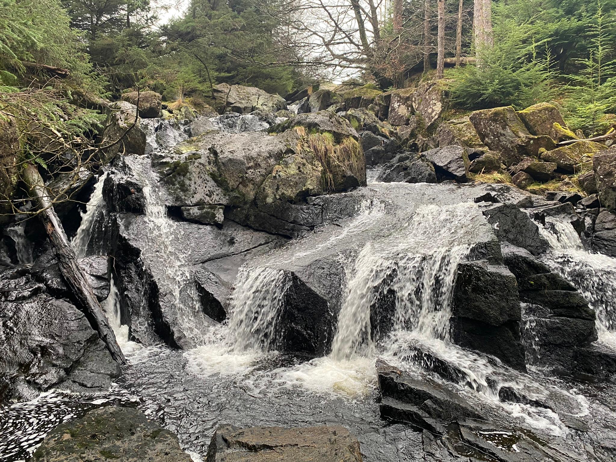 Thirlmere wanderings