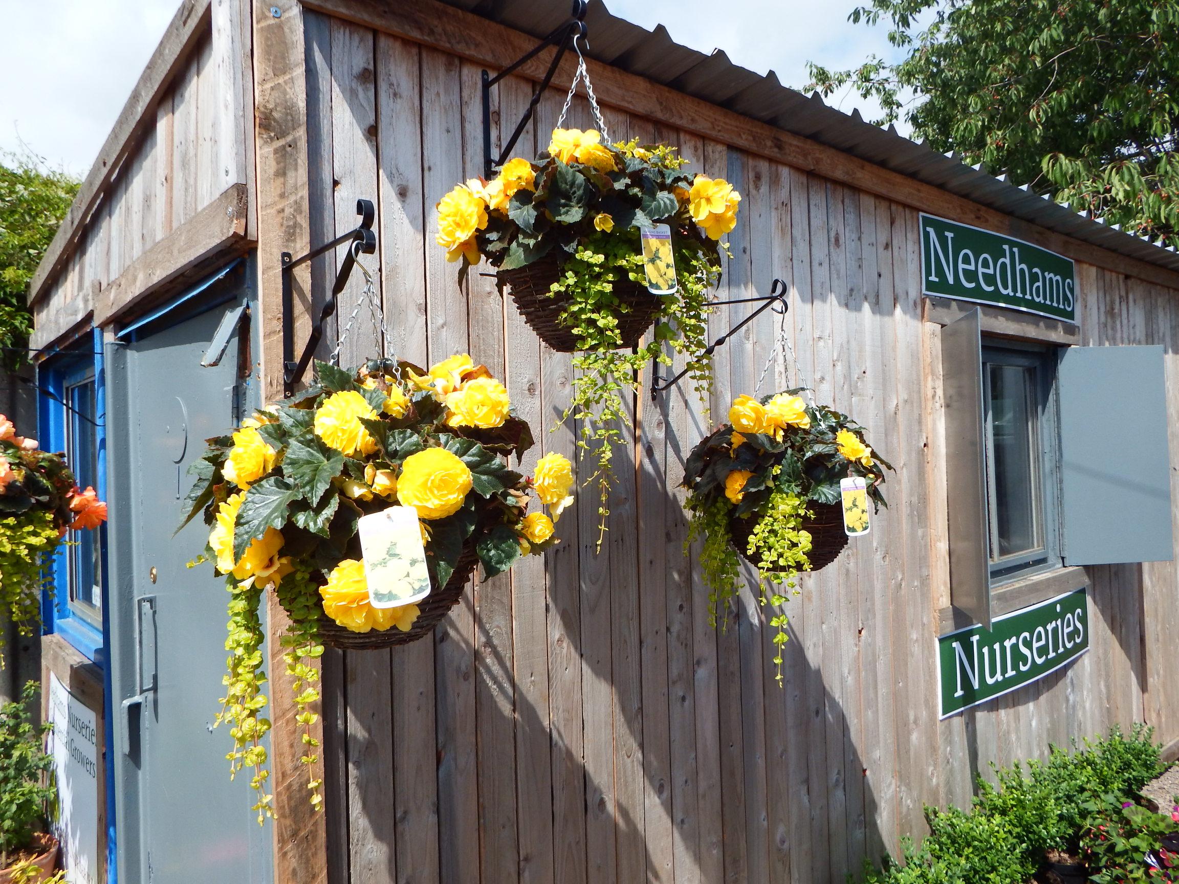Needhams Nurseries Tickhill