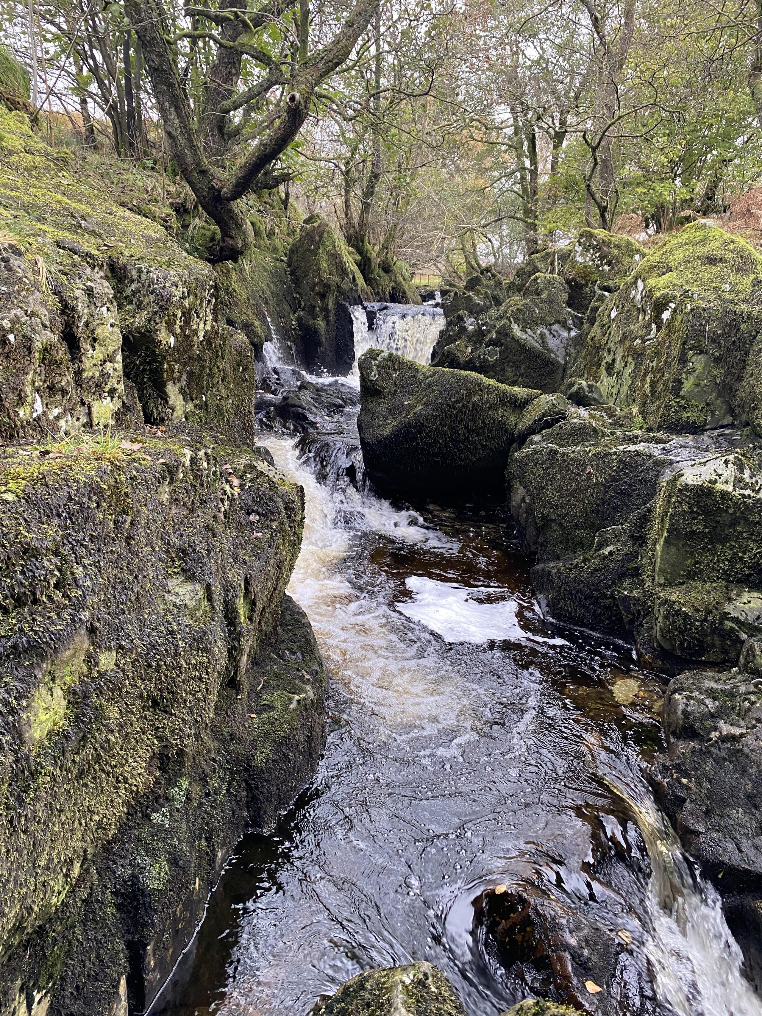 Wet Sleddale