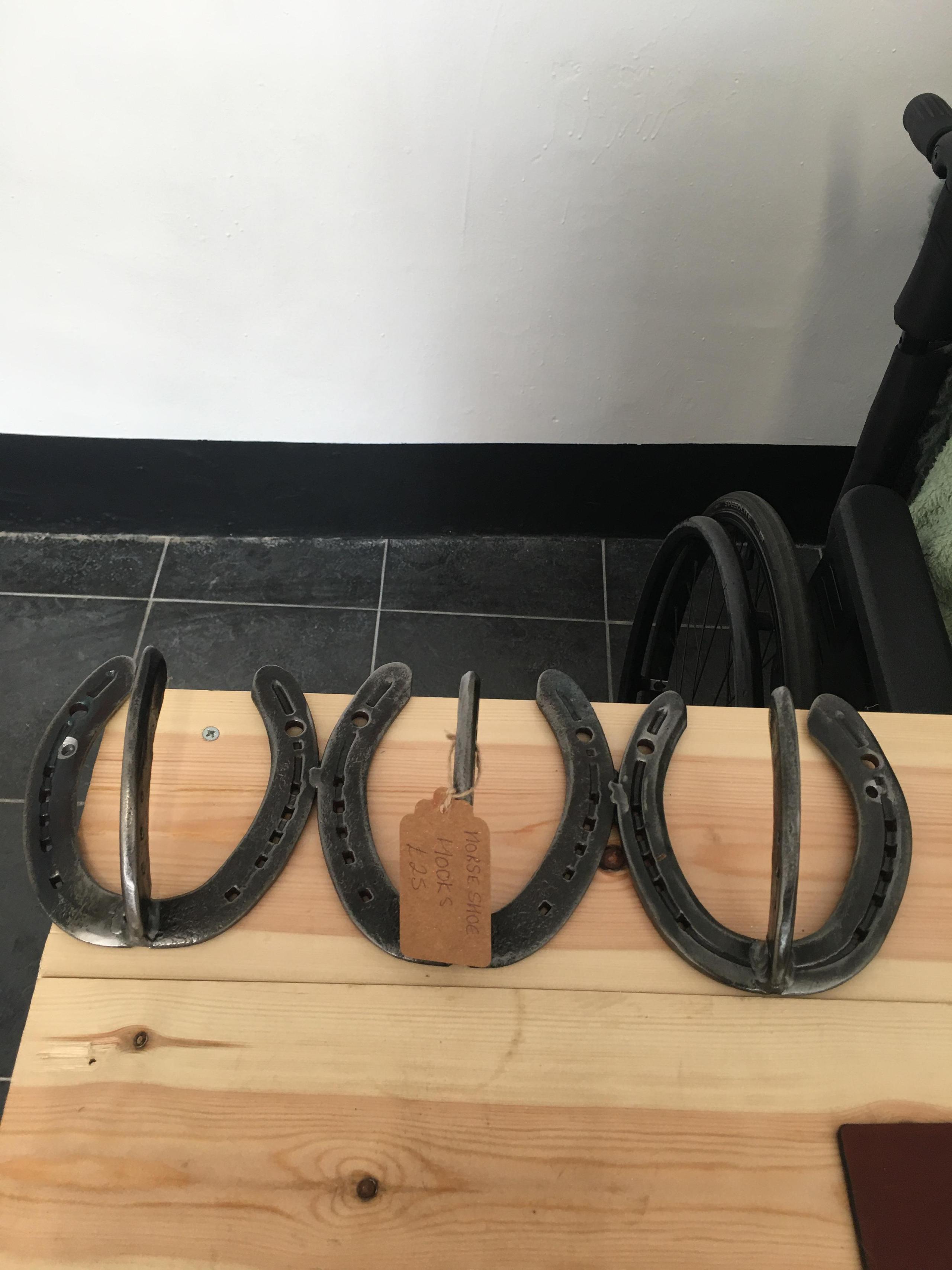 Horse Shoe Hooks