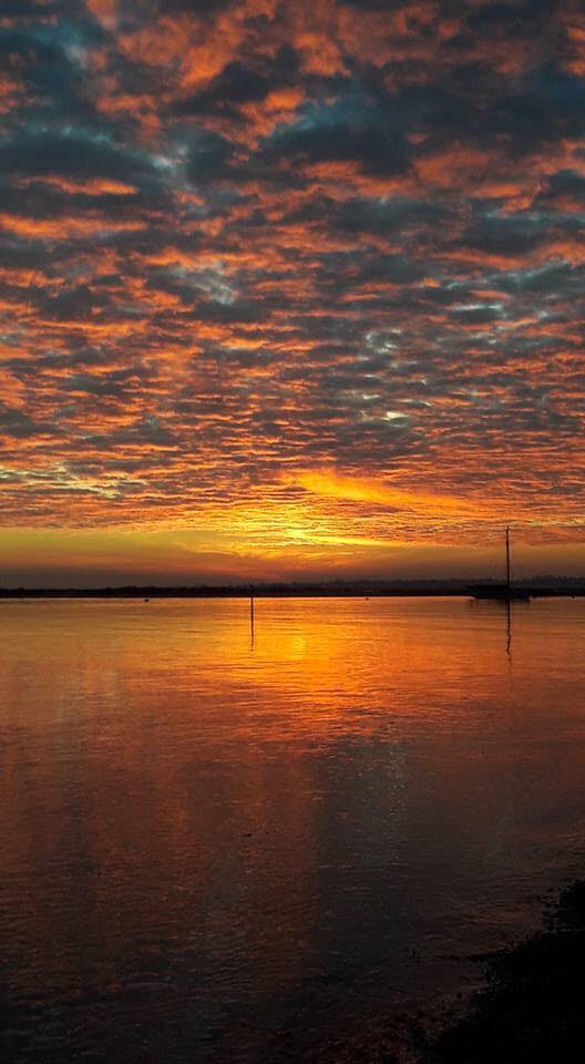mersea-art