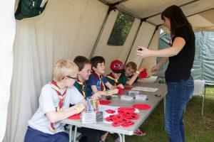 Beaver and Cub Scouts learn about Remembrance poppies