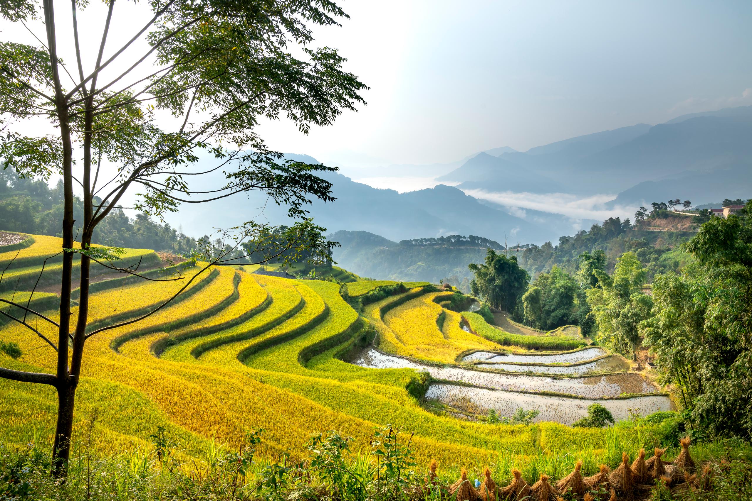 Ha Giang Aventure Awaits: THiET's Unforgettable Tour