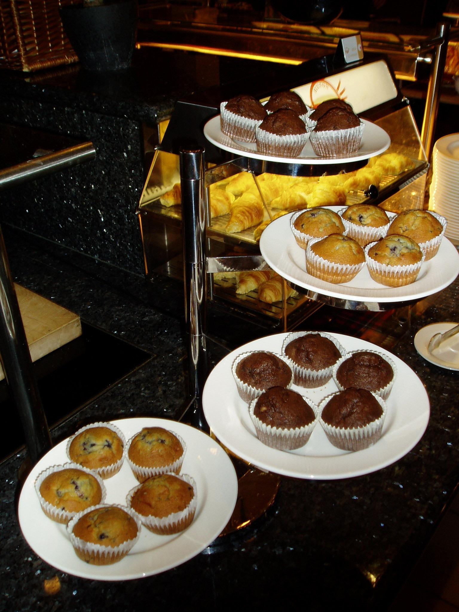 Blue Berry & Chocolate Muffins