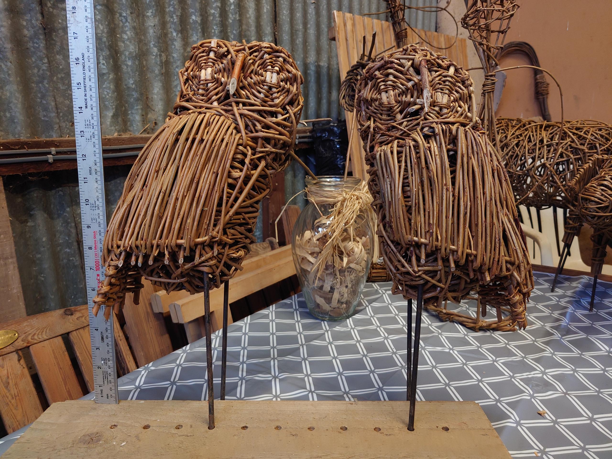 Willow Tawny Owls