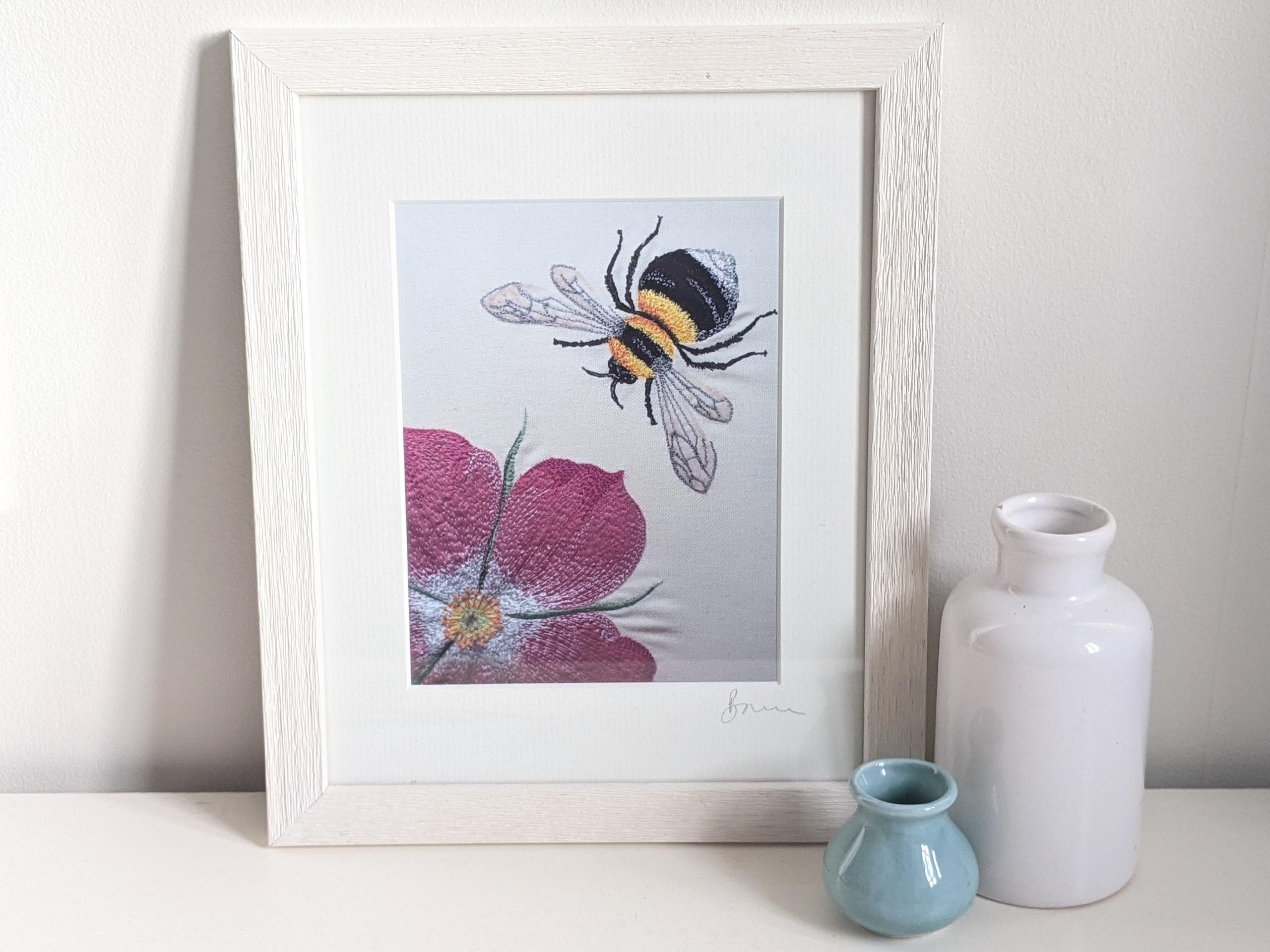 Bumble Bee and Rosa Glauca Framed Print