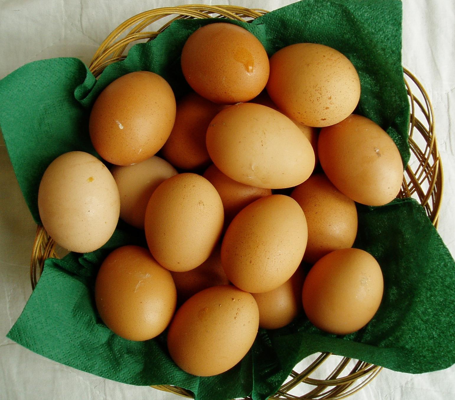 Eggs