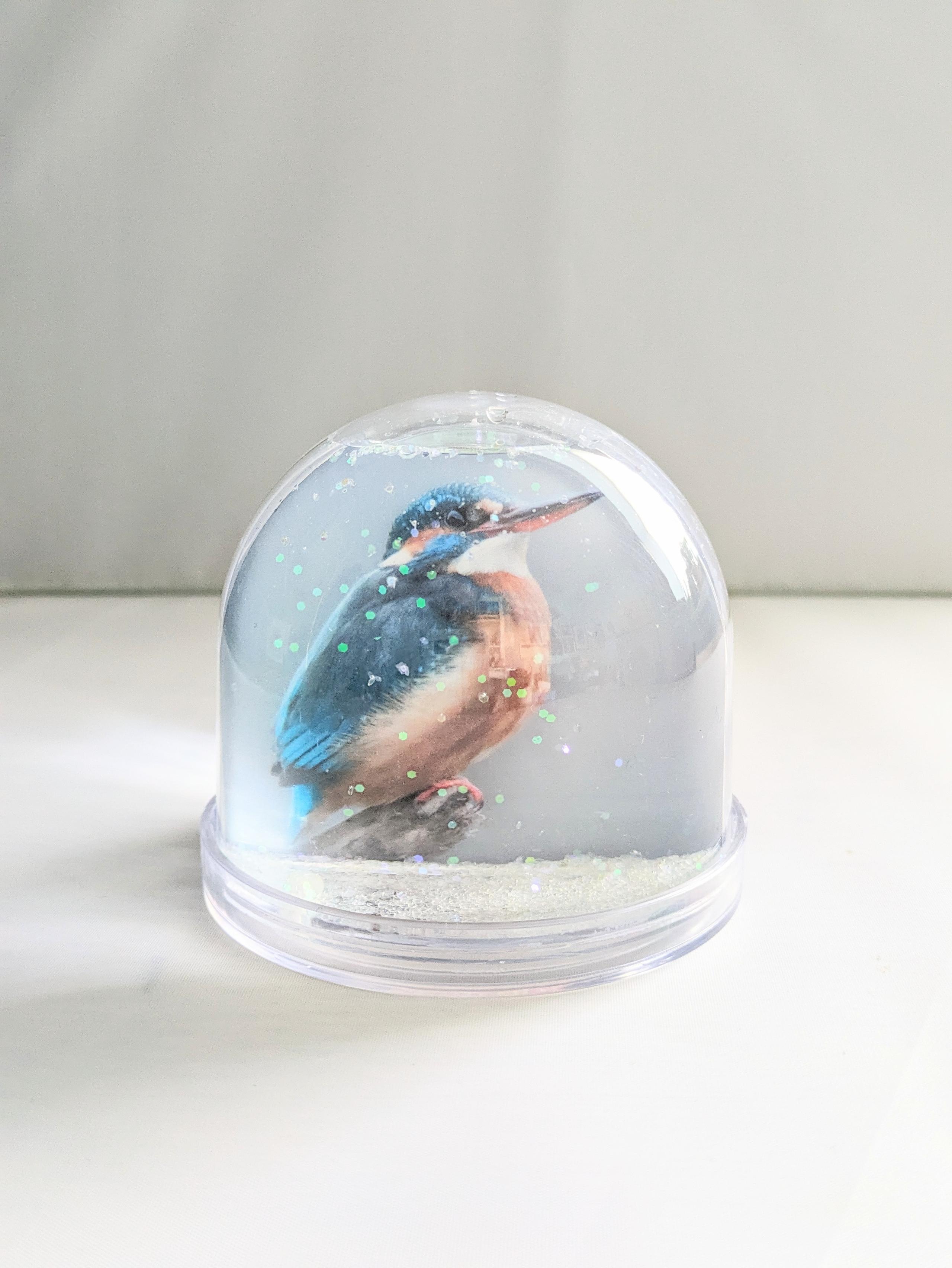 Kingfisher glitter globe