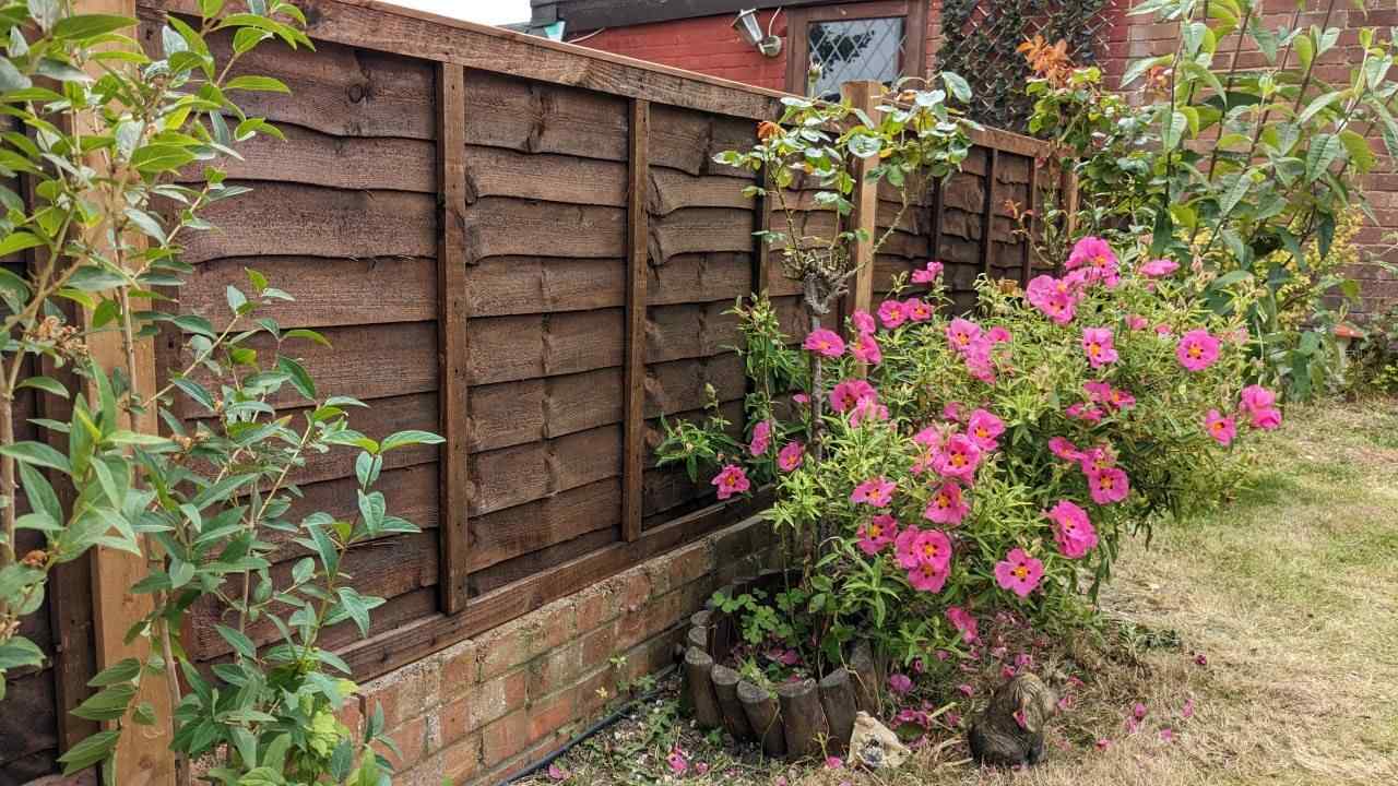fencing in New Ash Green