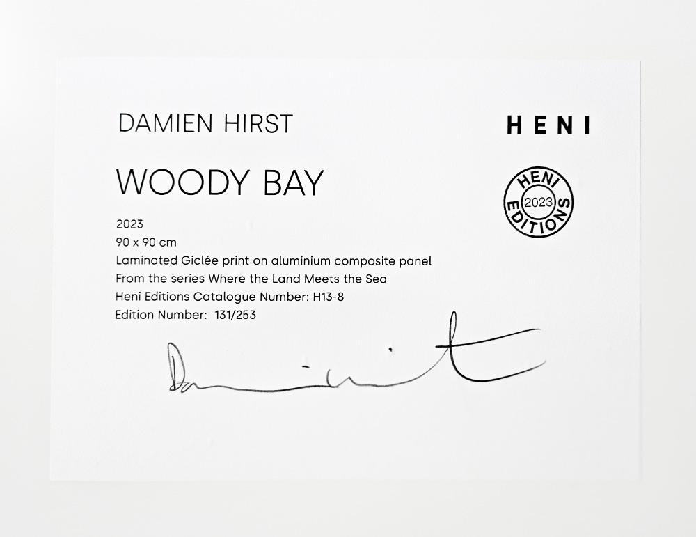 Damien Hirst - Woody Bay (H13-8)