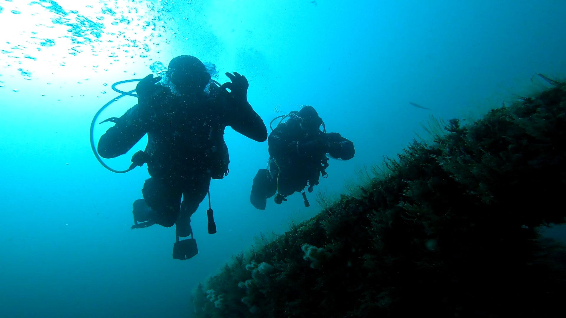worlds most popular Padi diving Course
