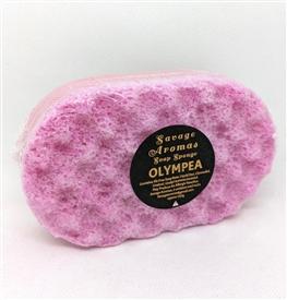 Soap sponges