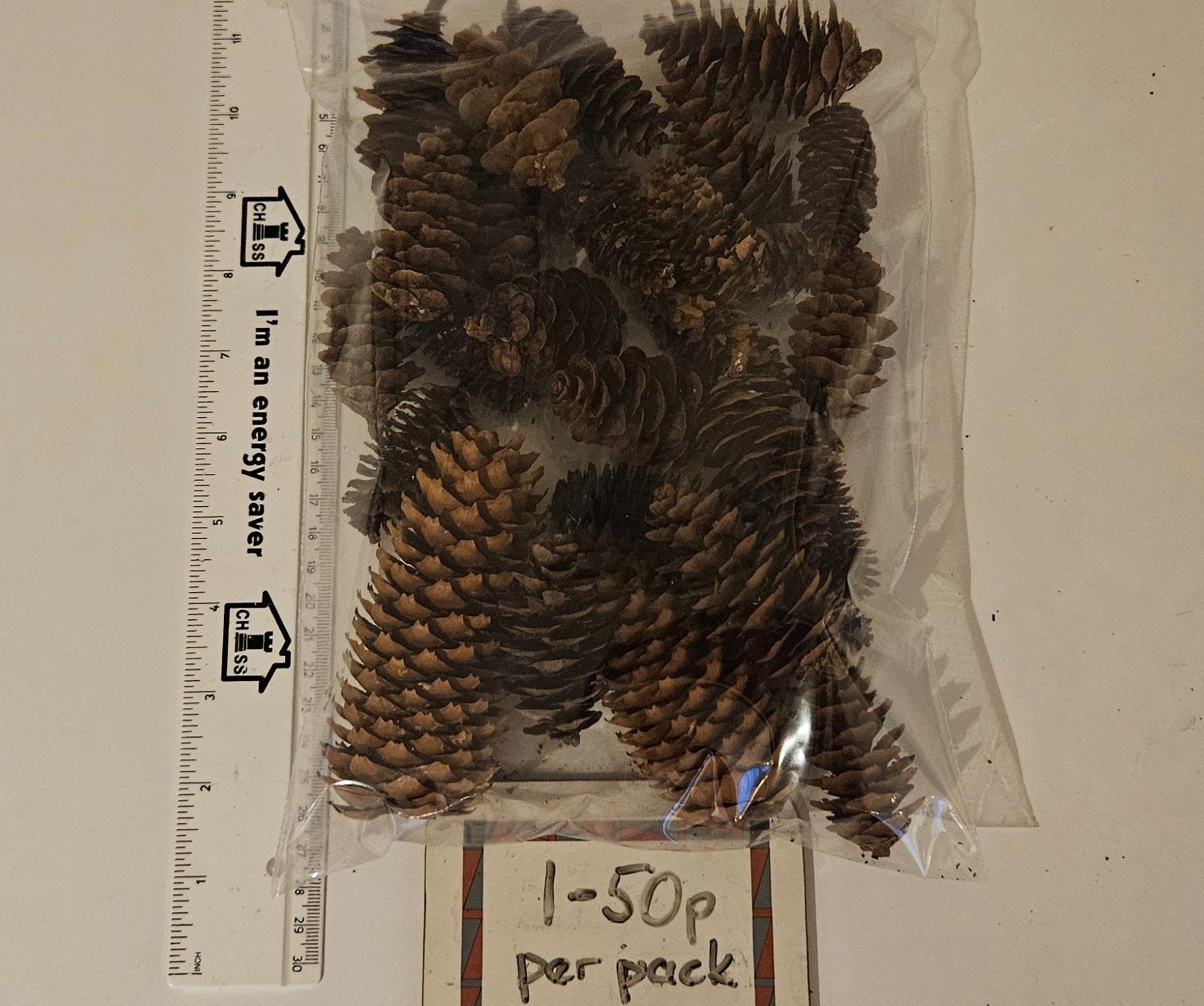 Fir Cones