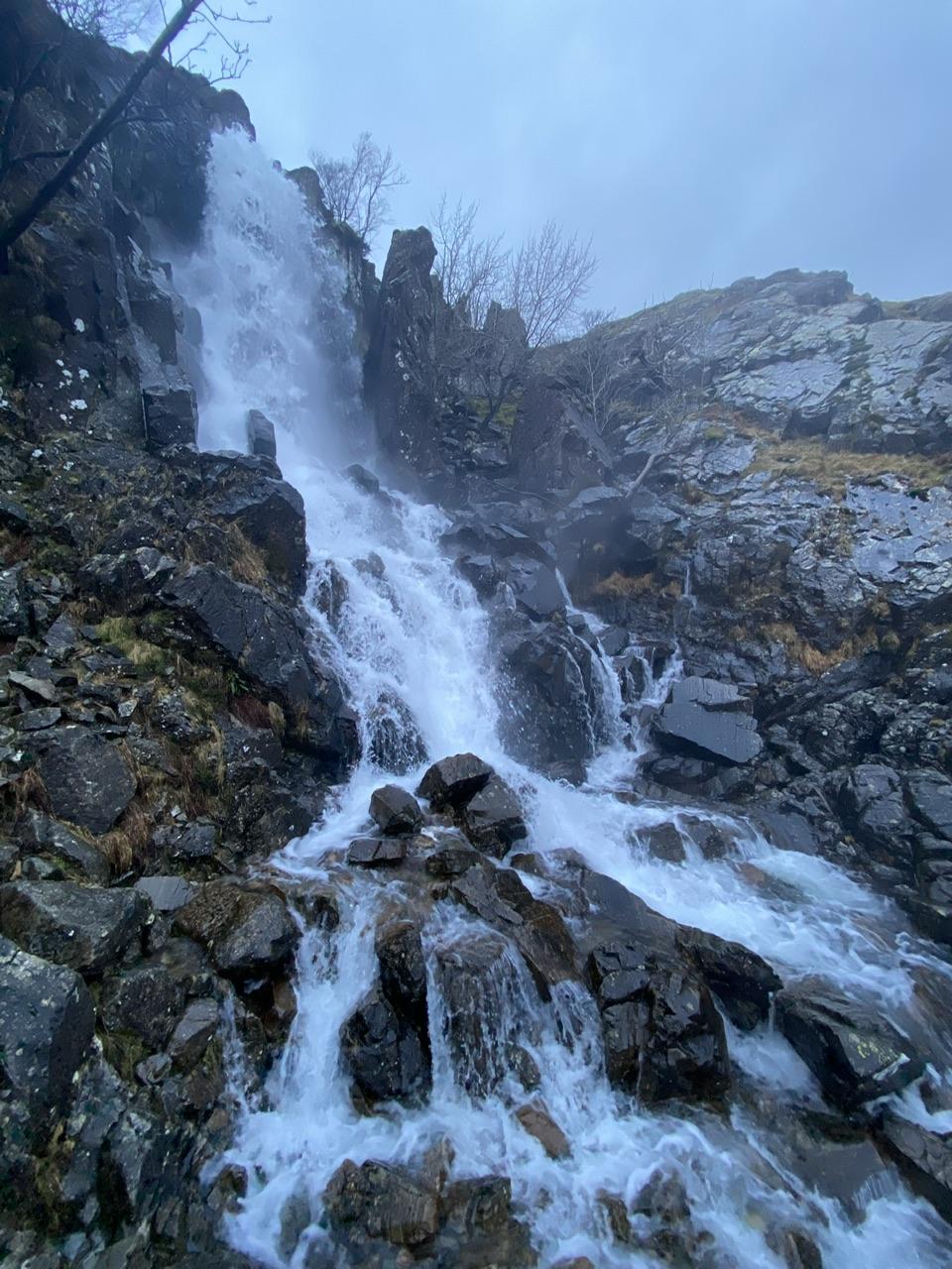 New Year's Day - Sour Milk Gill and more