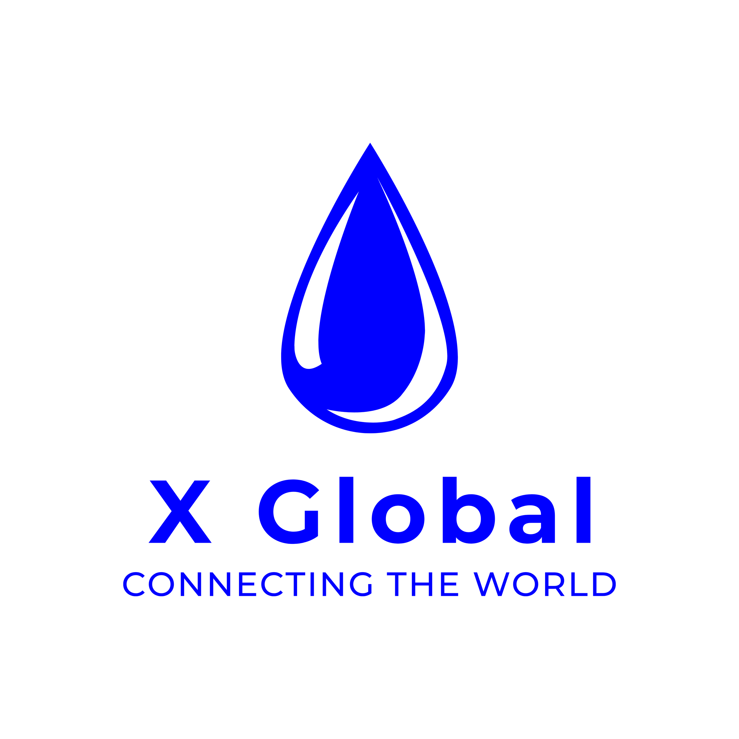 X Global Ltd