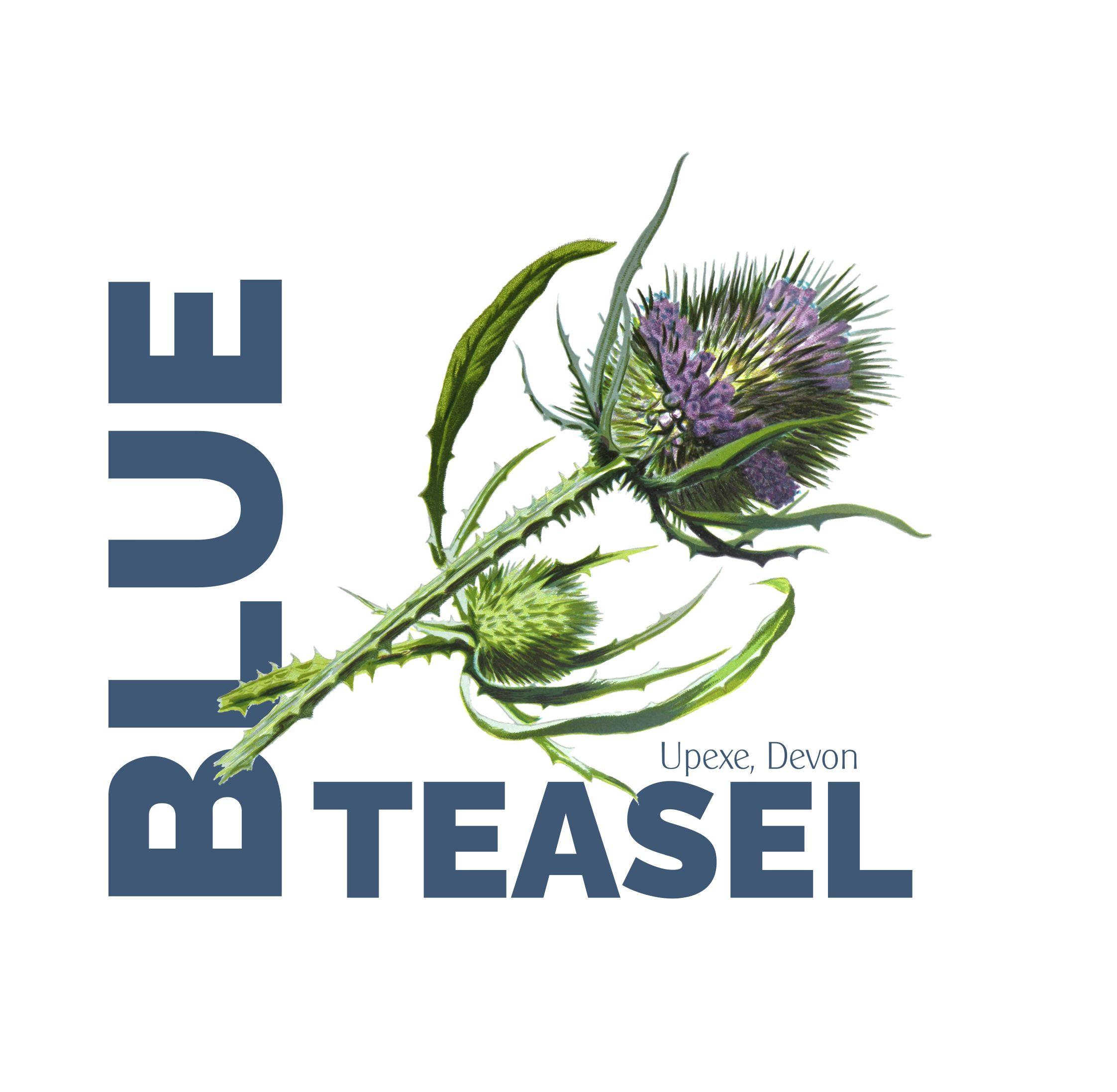 Blue Teasel Branding & Website