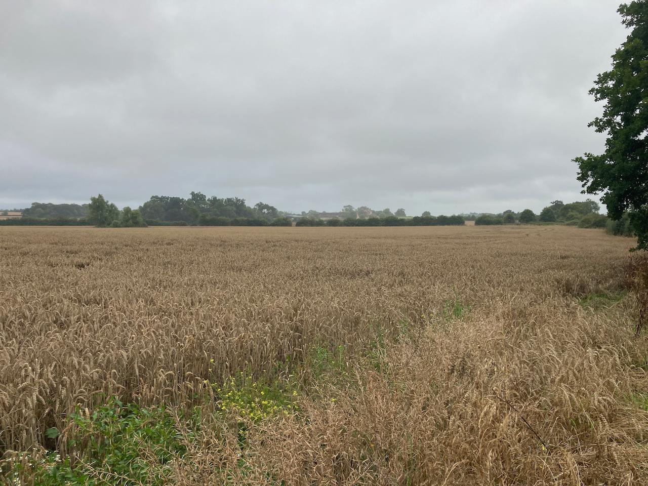Tewkesbury Battlefield Walk 1jpeg