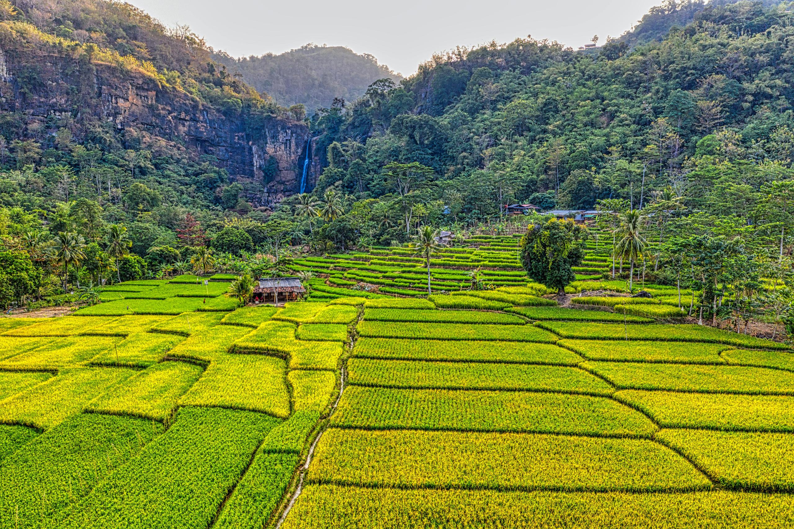 Ha Giang Aventure Awaits: THiET's Unforgettable Tour