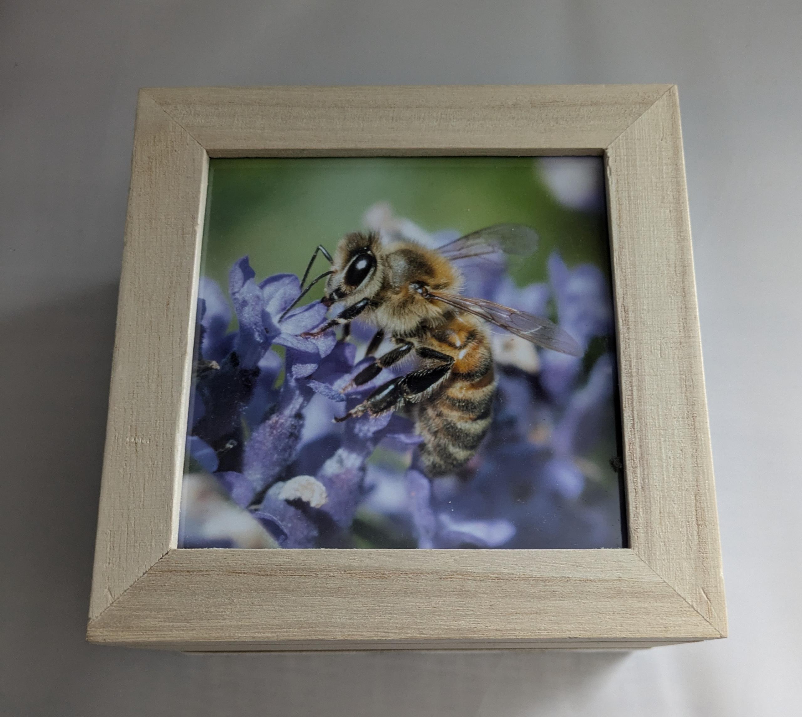 Bee photo box