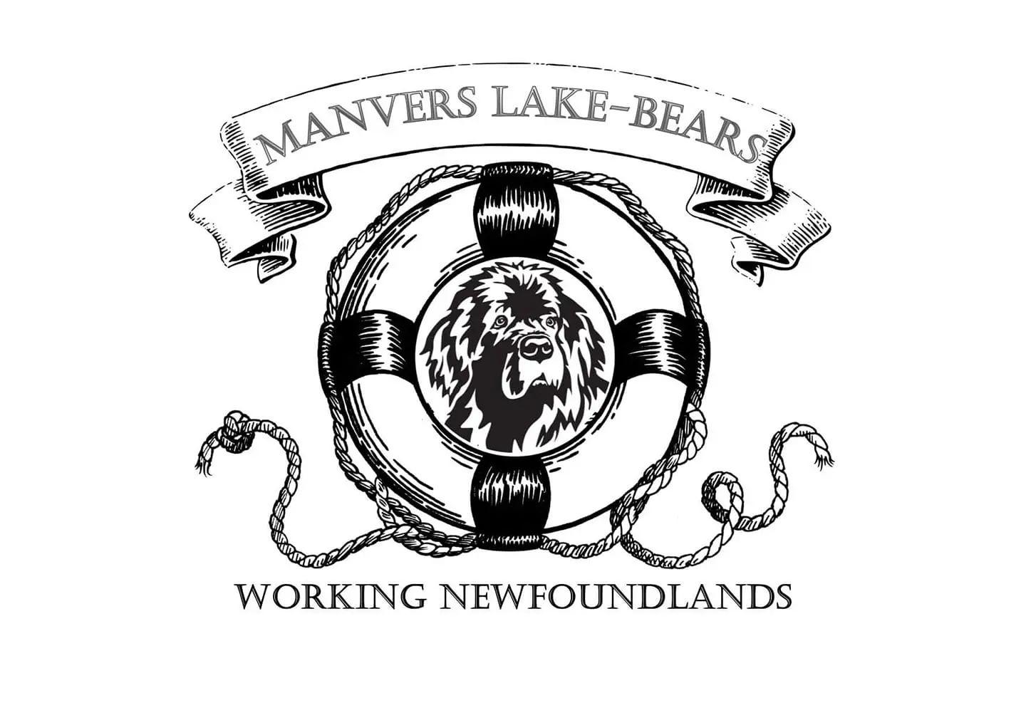 Manvers Lake-Bears Working Newfoundlands