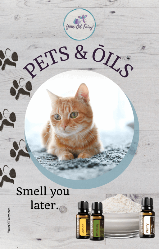 Pets & Oils ebook