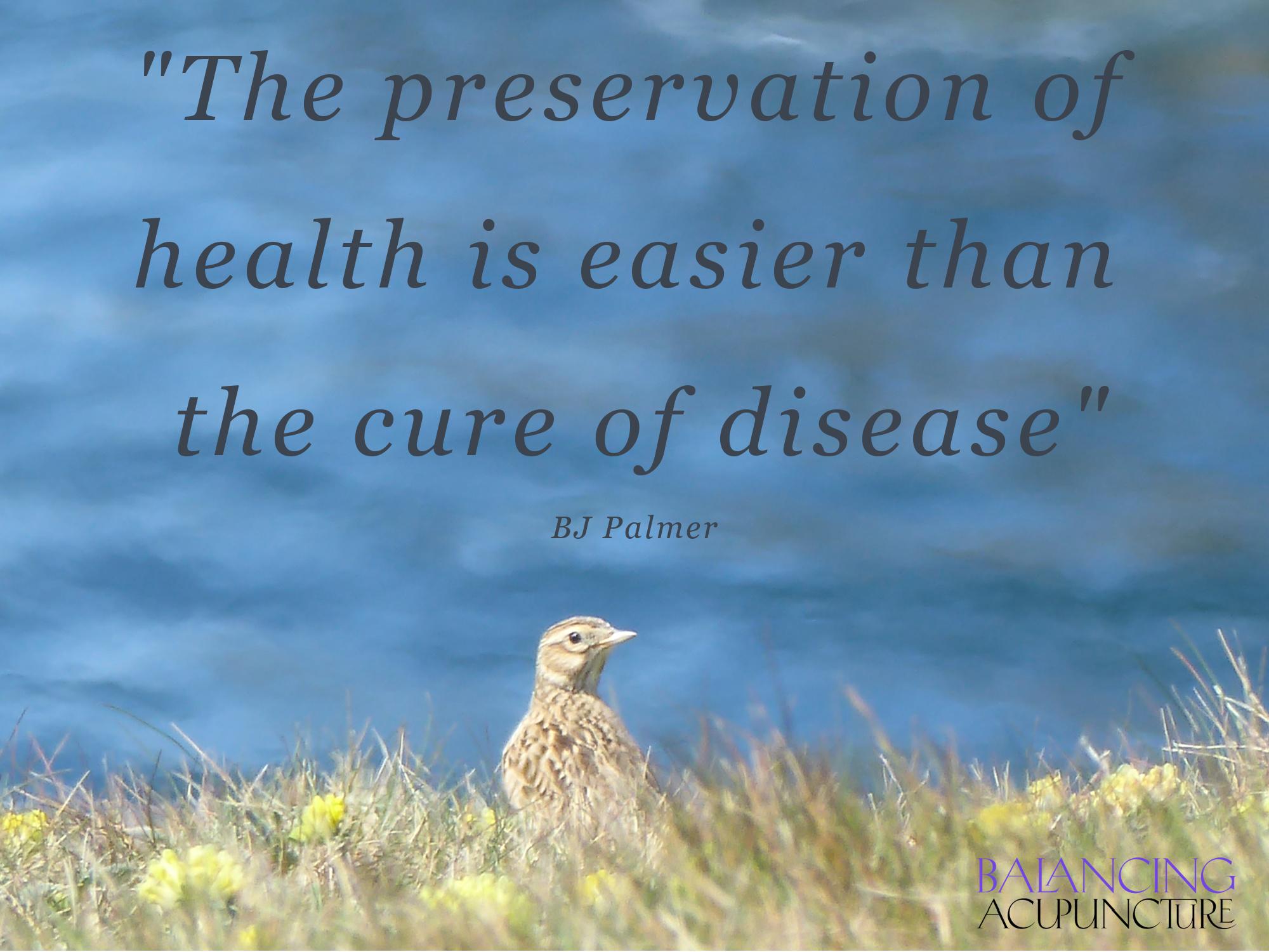 The preservation of health is easier than the cure of diseasejpg